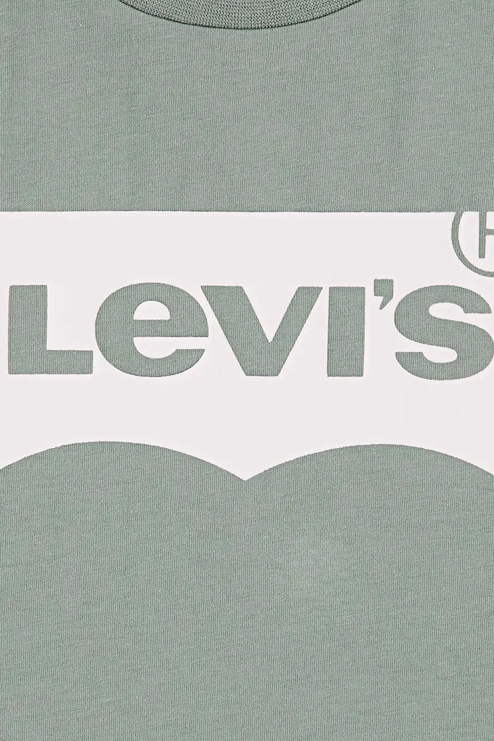 Levi's LVG Batwing Tişört