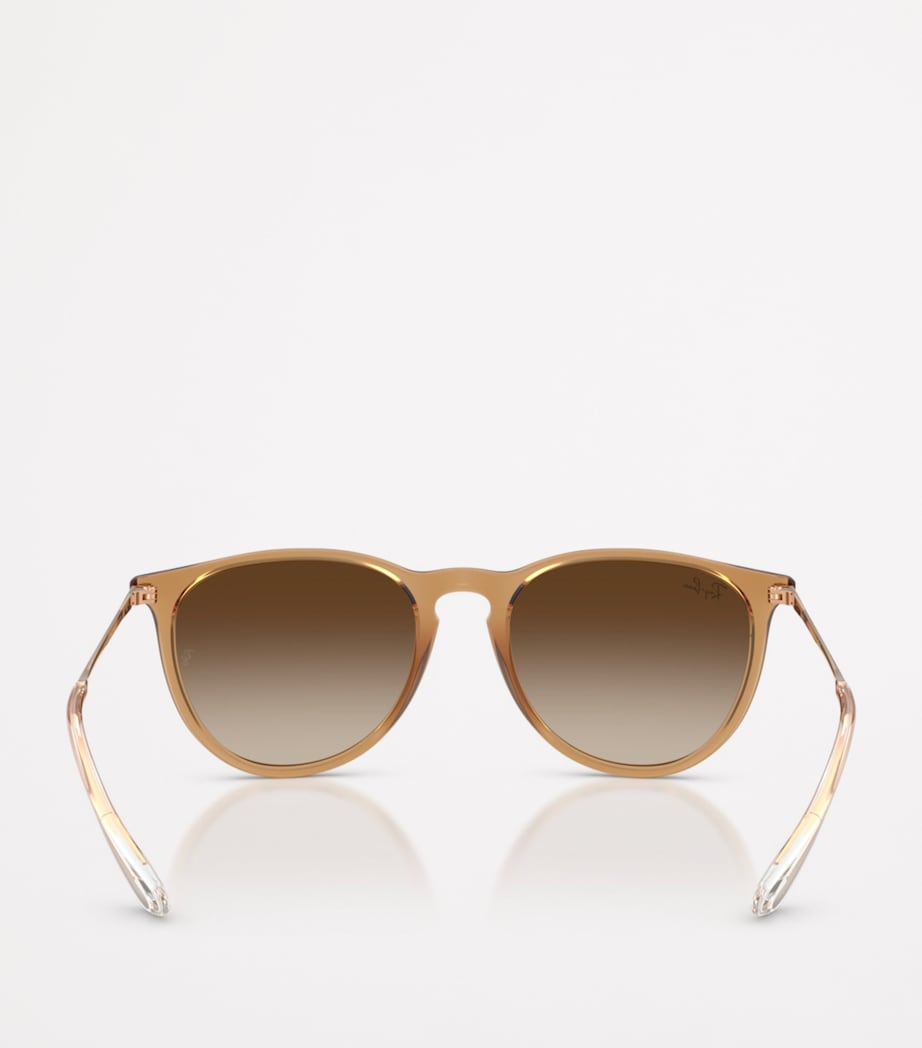 Ray-Ban RB4171 Erika Classic Sunglasses