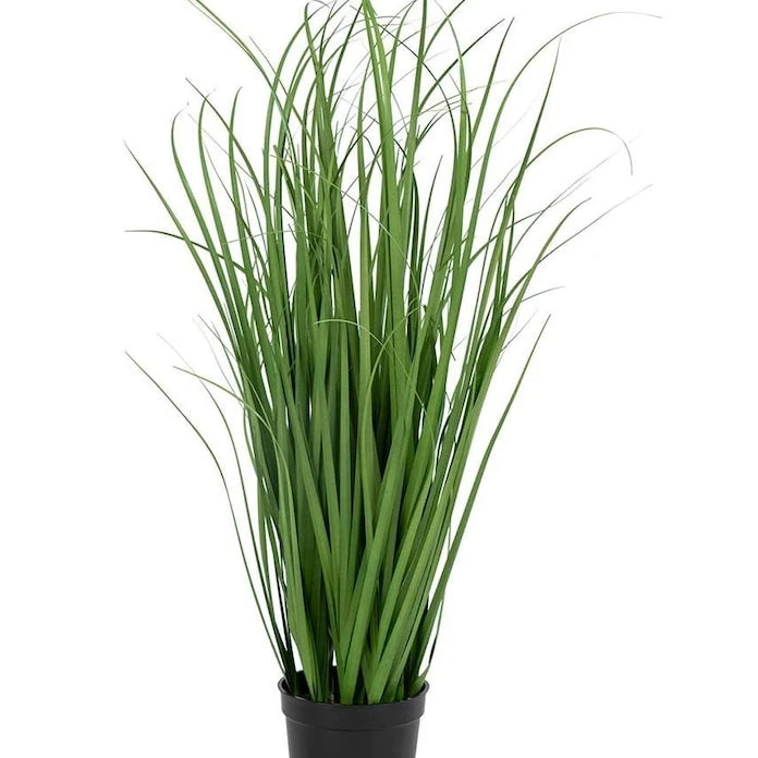 Saksıda Yapay Bitki House Nordic Poa Grass