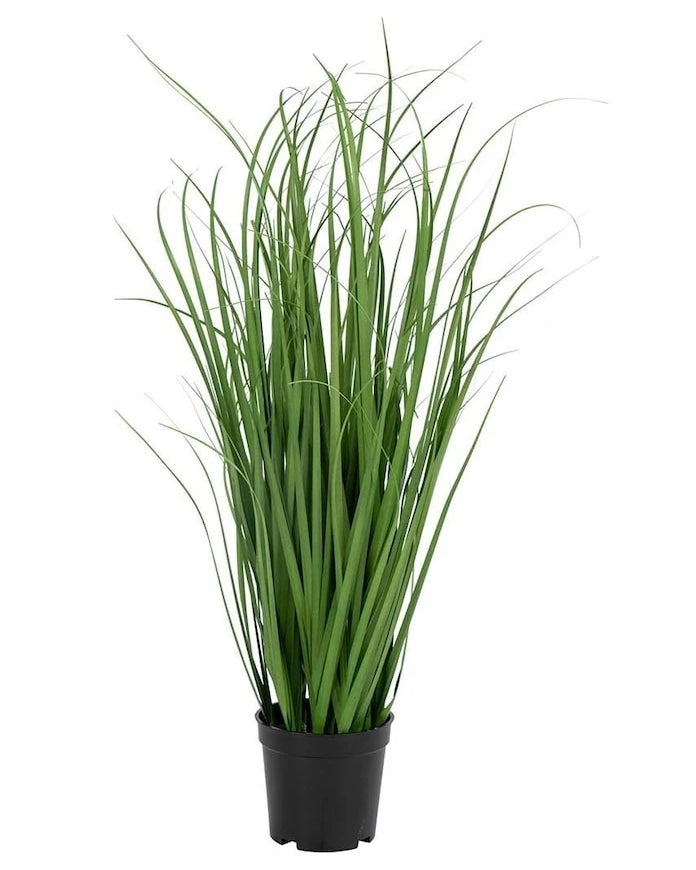 Saksıda Yapay Bitki House Nordic Poa Grass