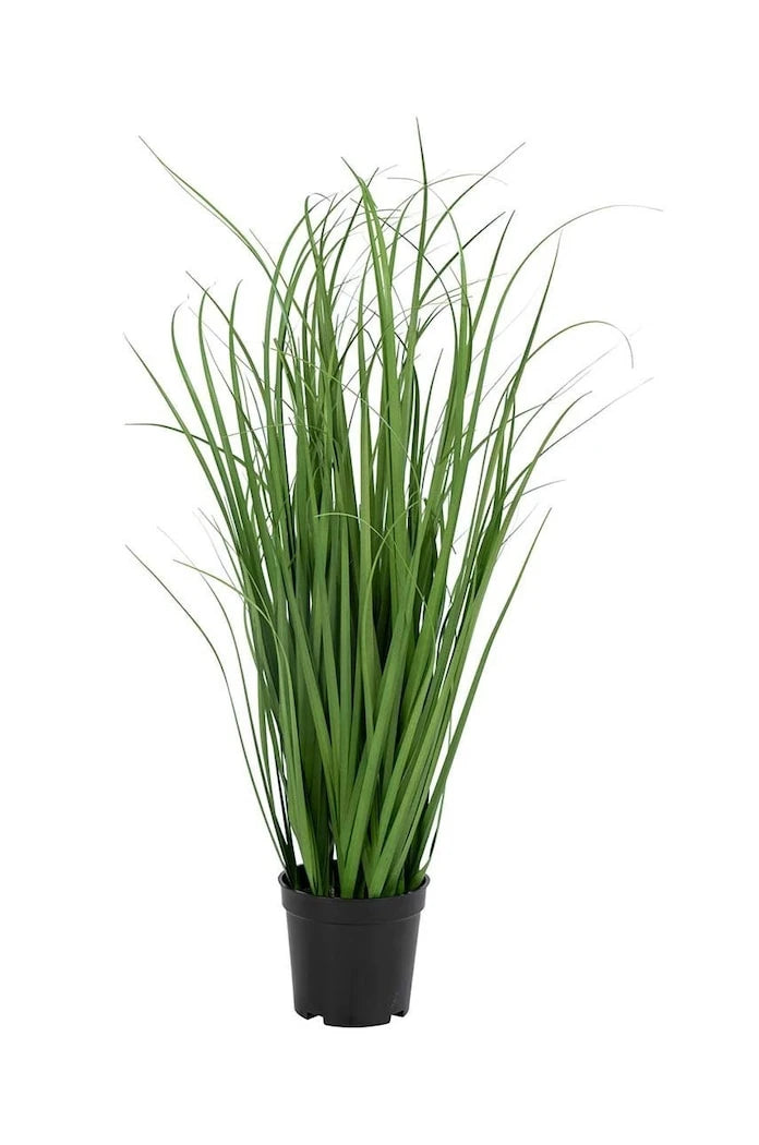 Saksıda Yapay Bitki House Nordic Poa Grass