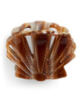 Brown Acetate Shell Clasp Hair Clip