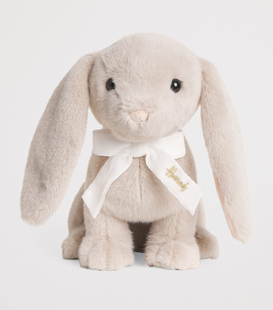 Rabbit In A Hutch Soft Toy