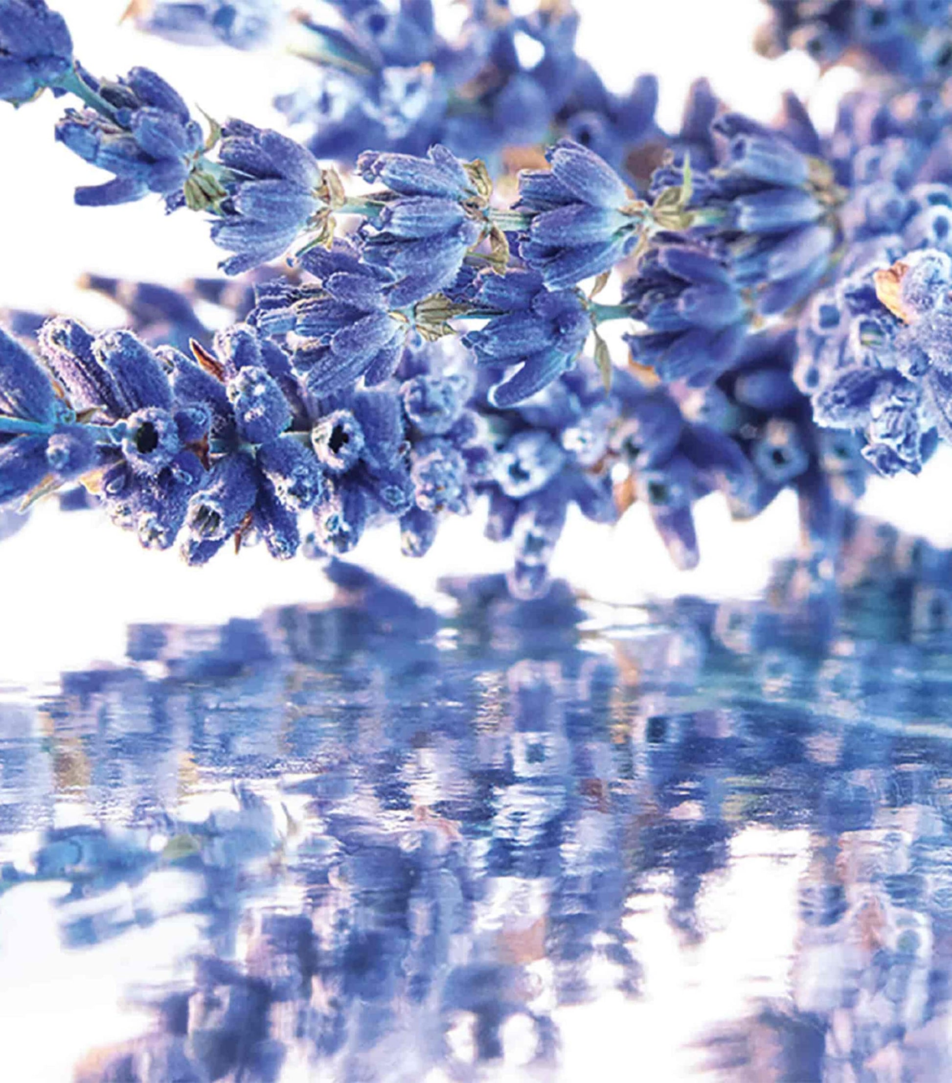 Mon Guerlain Eau de Parfum (100ml)