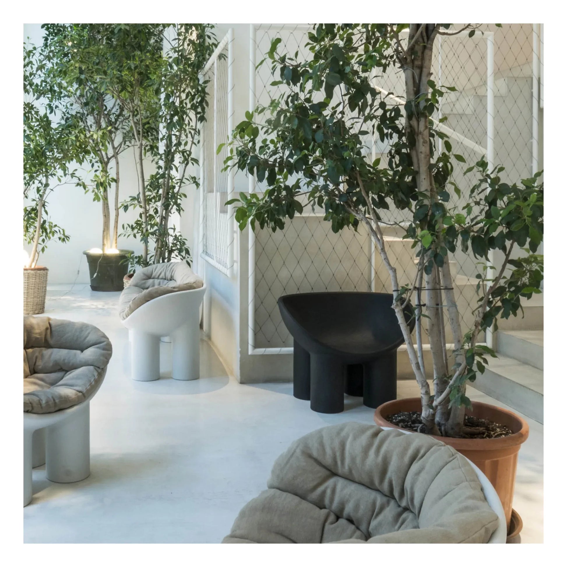 Driade - Roly Poly armchair - Faye Togood | Grey