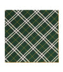 Green Silk Check Scarf