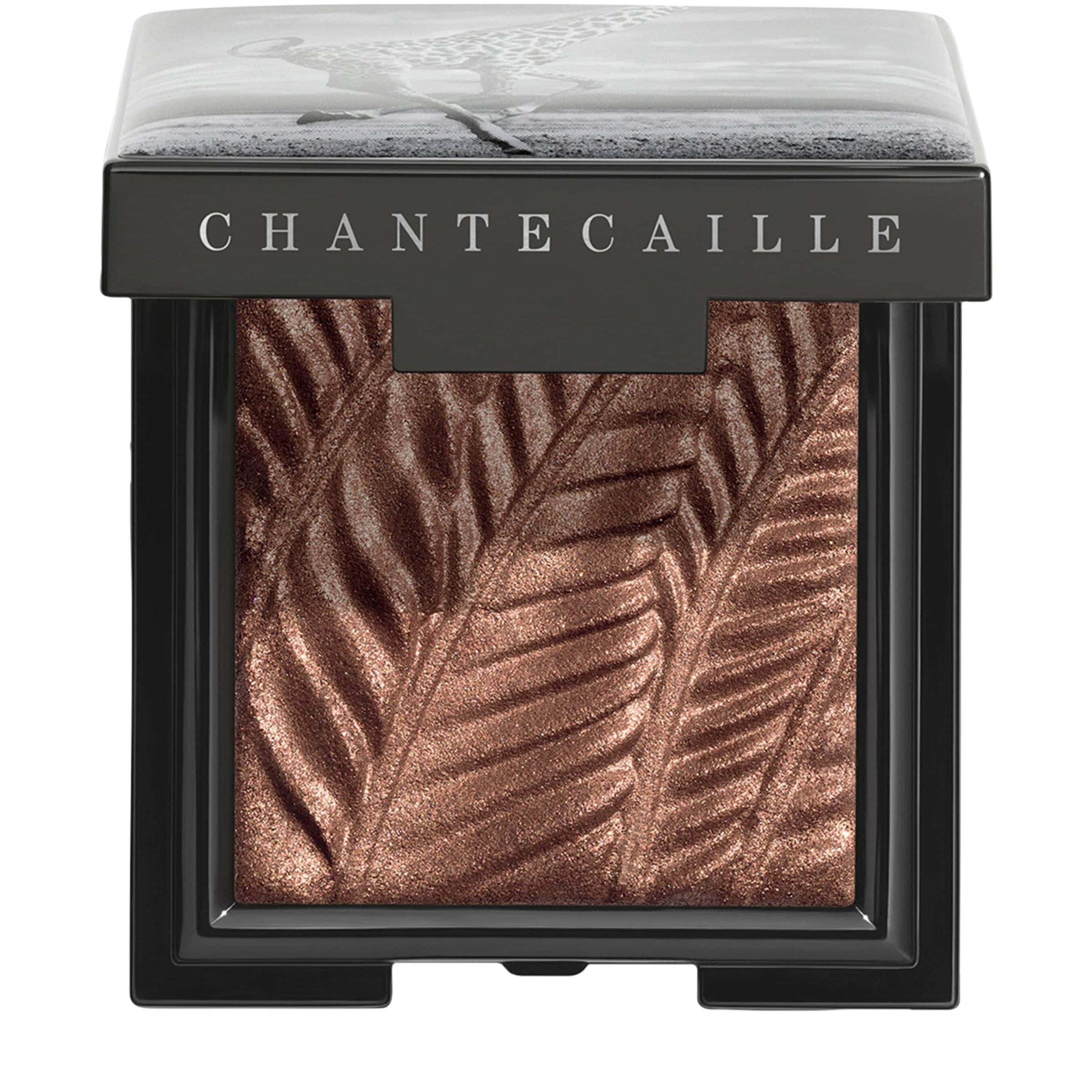 Giraffe Luminous Eye Shade