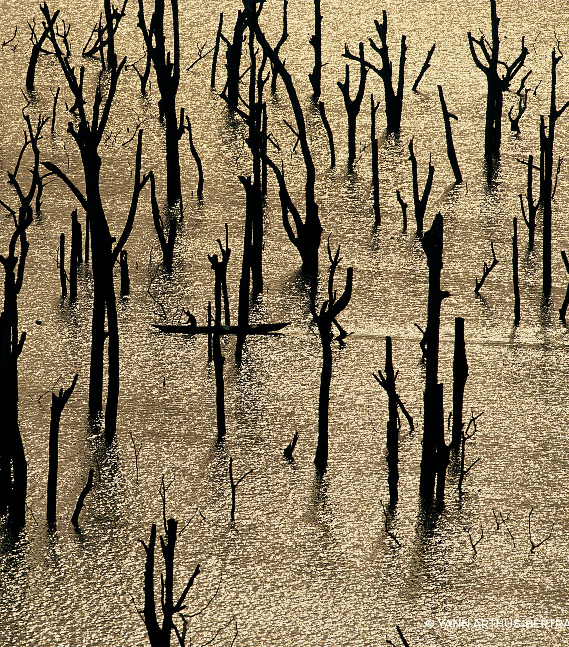 Aqua Allegoria Forte Rosa Rossa Eau de Parfum (75ml)