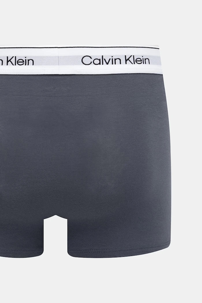 Calvin Klein Underwear Erkek Dar Boxer 3'lü Paket