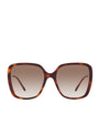 Brown Acetate 06N000487 Sunglasses