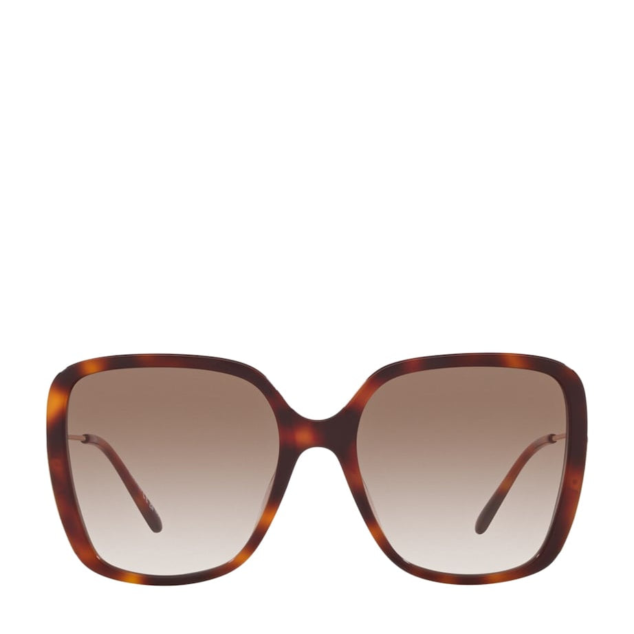 Brown Acetate 06N000487 Sunglasses