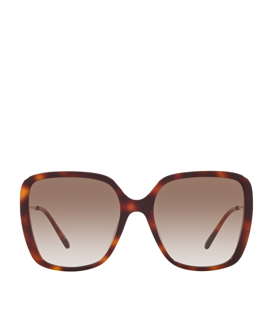Brown Acetate 06N000487 Sunglasses