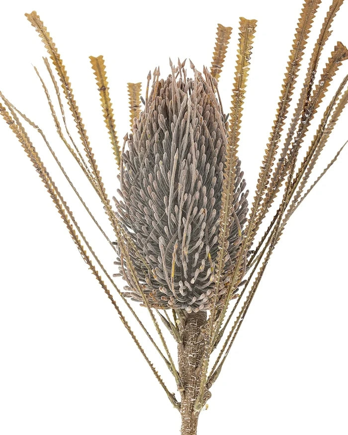 Изкуствено растение Bloomingville Palmflower Stem 72 cm