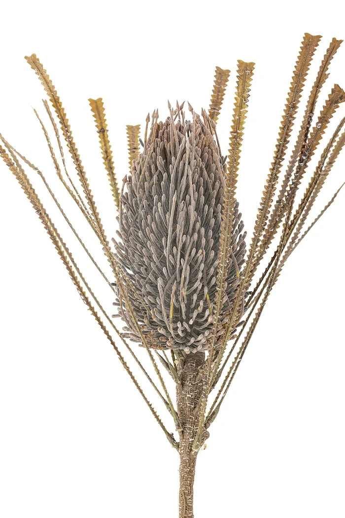 Bloomingville Palmflower Stem 72 cm Yapay Bitki