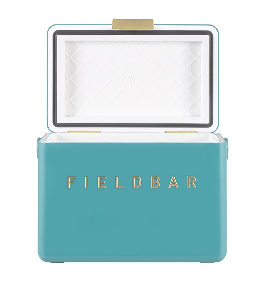 Mini Bar Cooler Box with Leather Sling (4L)