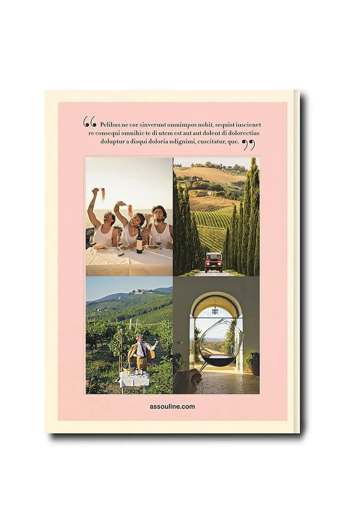 Assouline Wine & Travel Italy by Enrico Bernardo, İngilizce