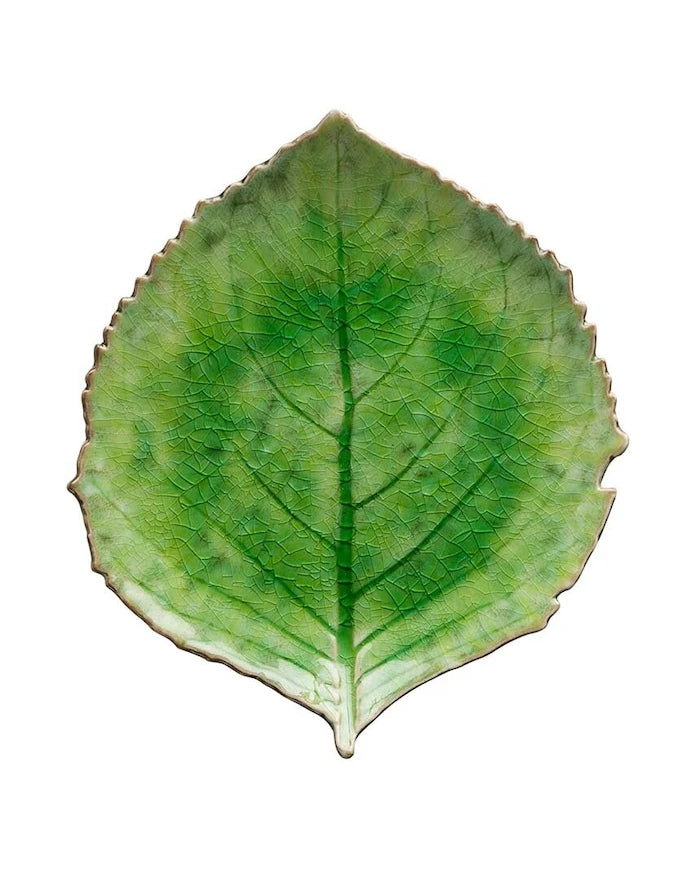Costa Nova Riviera Hydrangea 22 cm Tabak Seti (6 Parça)