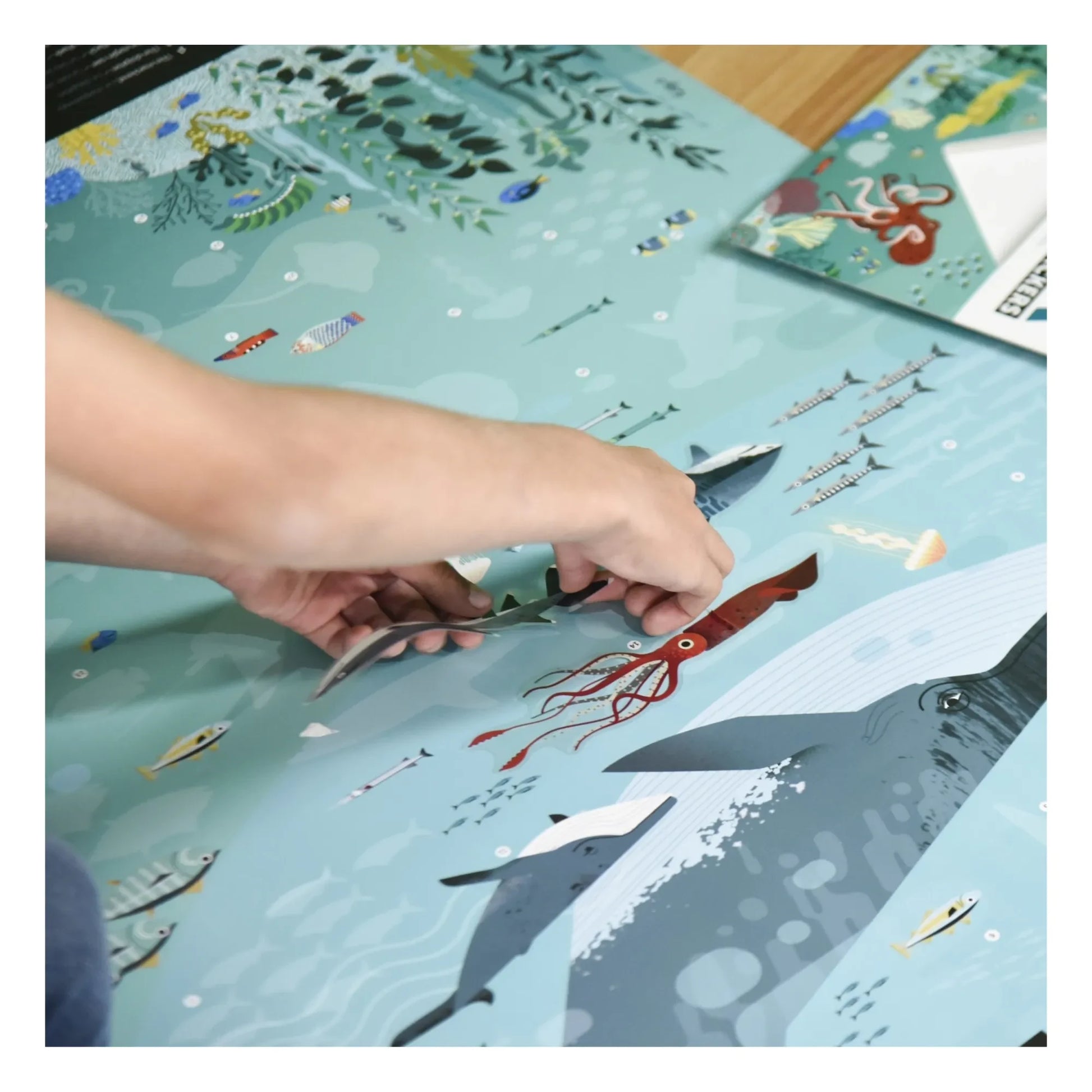 Poppik - Ocean Poster+ Stickers