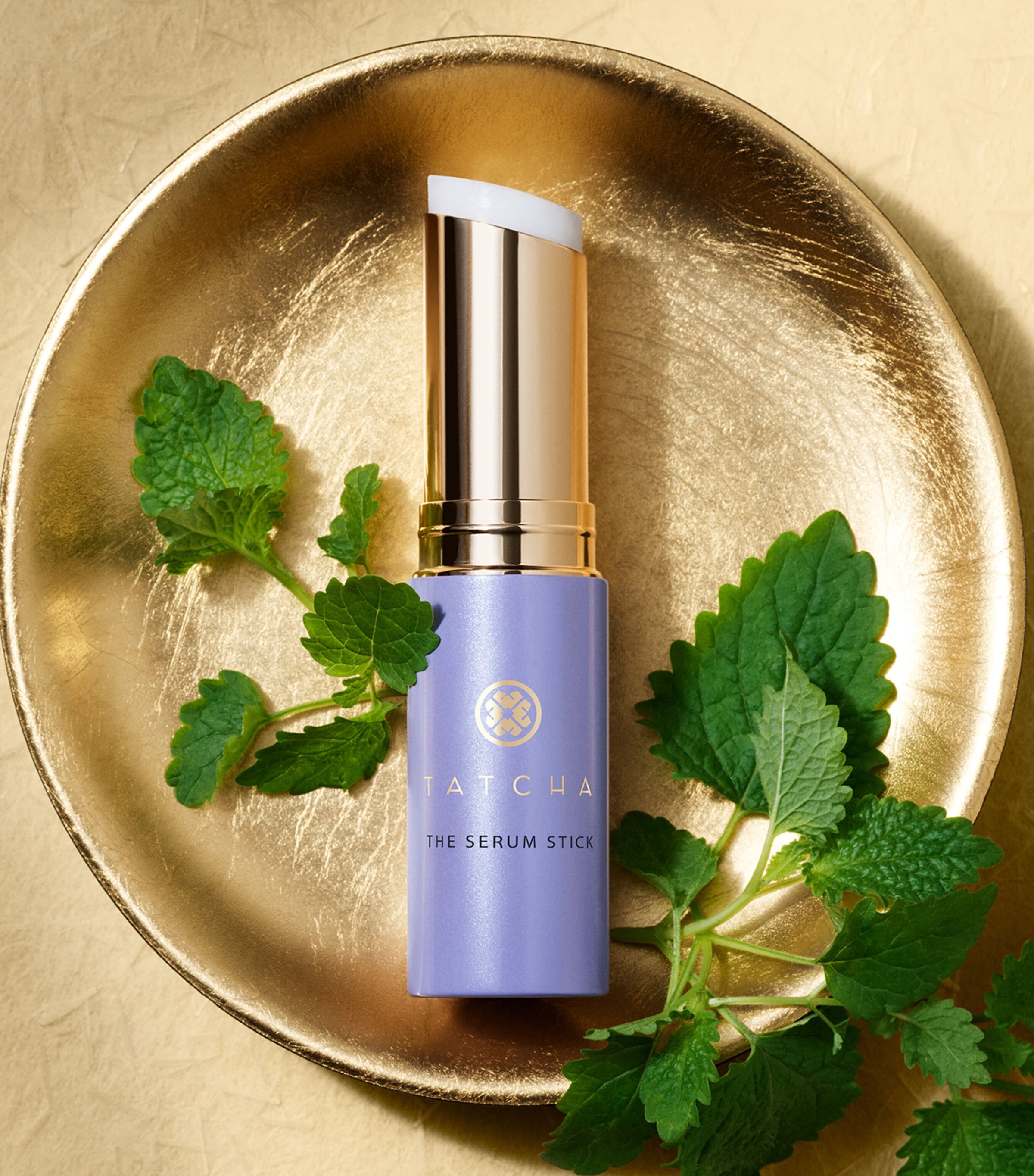 The Serum Stick (8g)