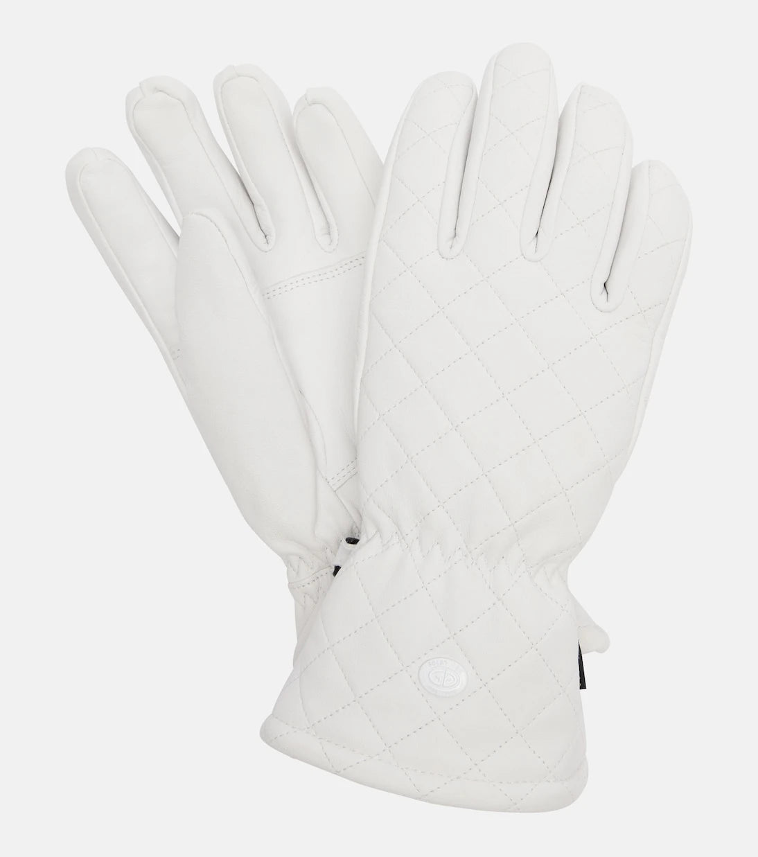 Goldbergh - Nishi leather ski gloves