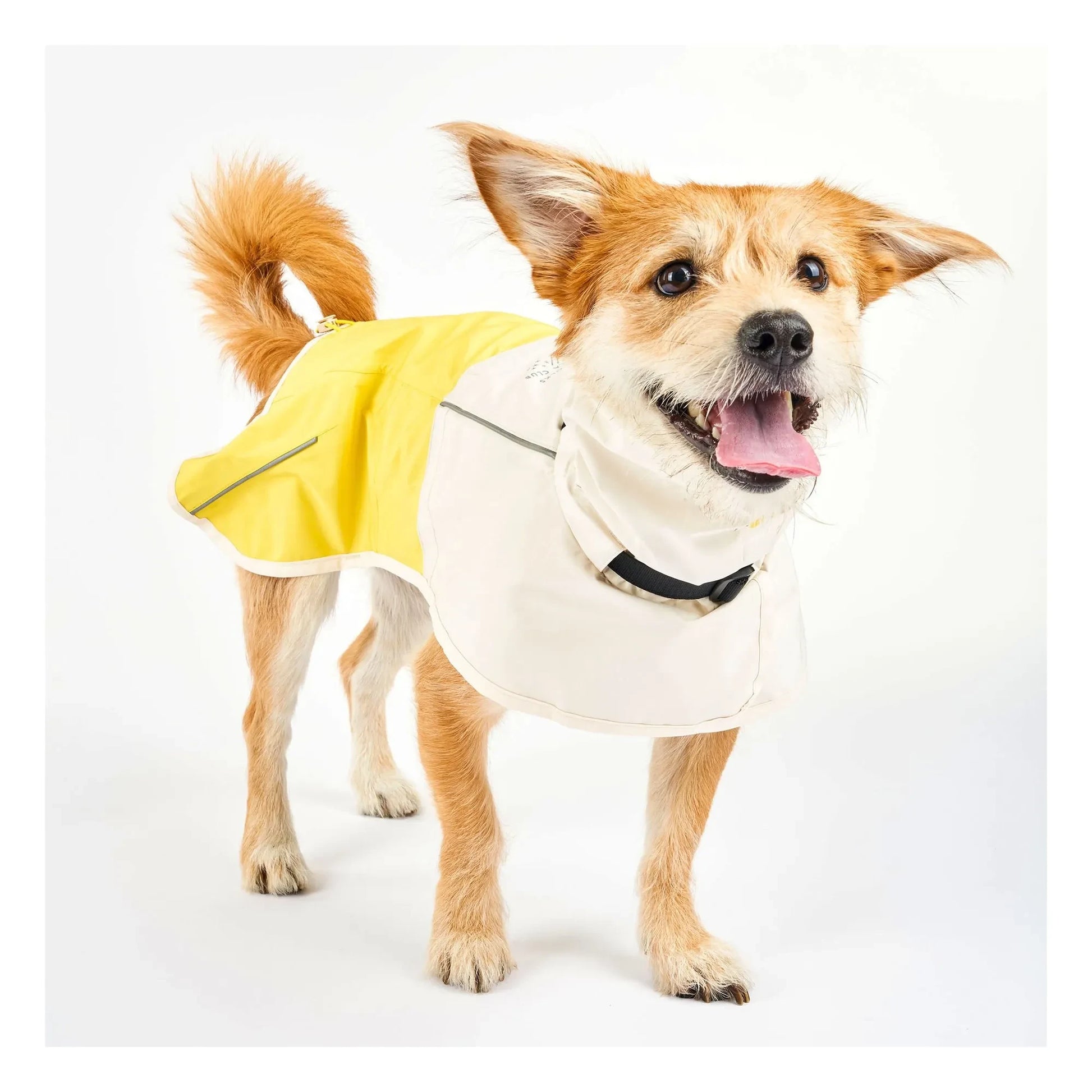 The Furry Folks - Venture rain coat | Yellow