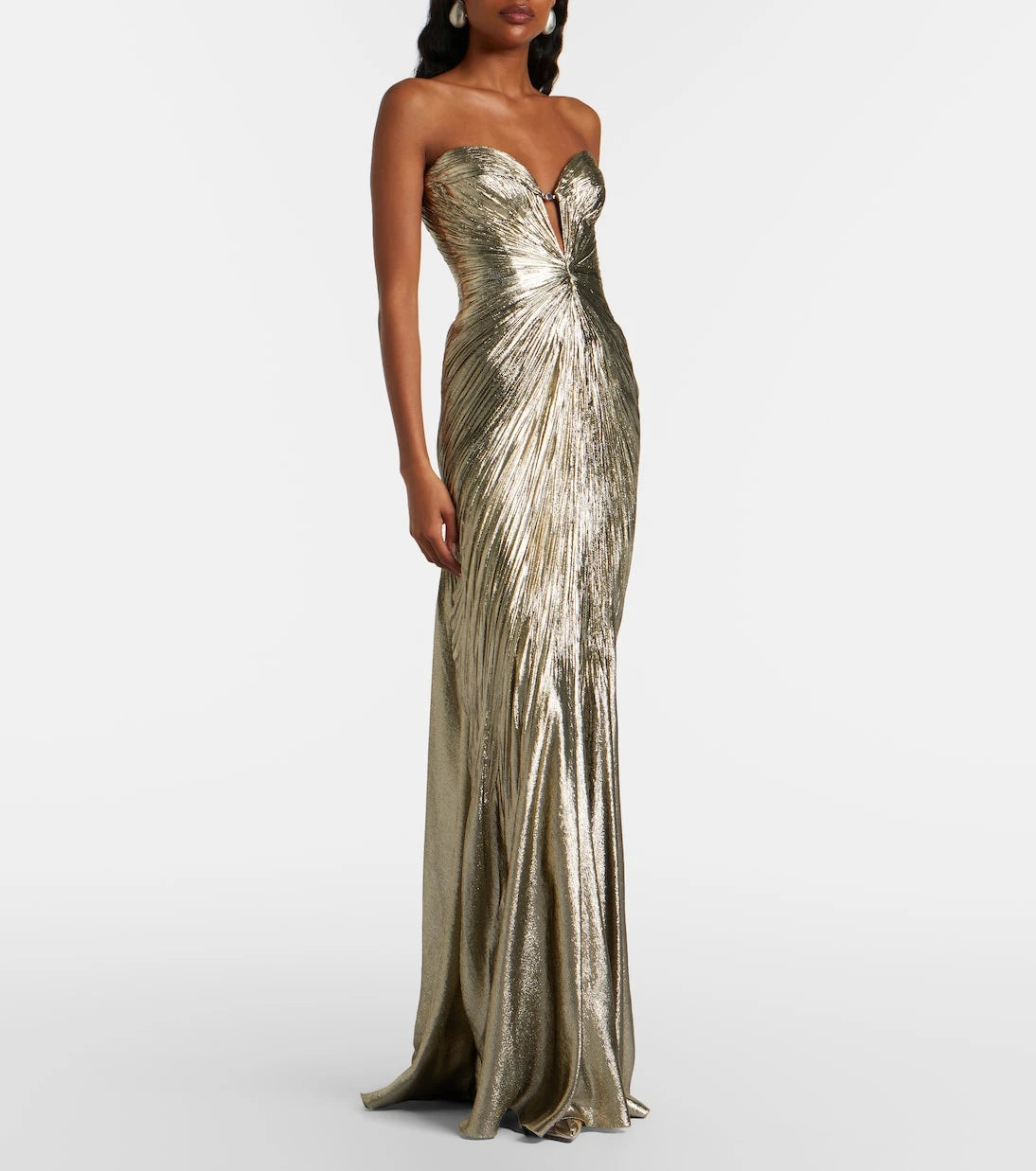Maria Lucia Hohan - Dakota lamé chiffon gown