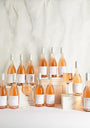 Provence Rosé Wine Case (12 Bottles) - Provence, France