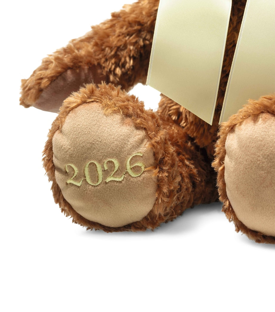 Cosy Year Bear 2026 (34cm)