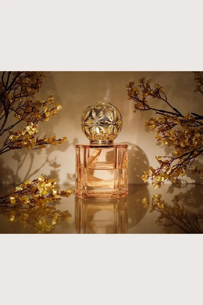 Maison Berger Paris Difüzör 342 ml