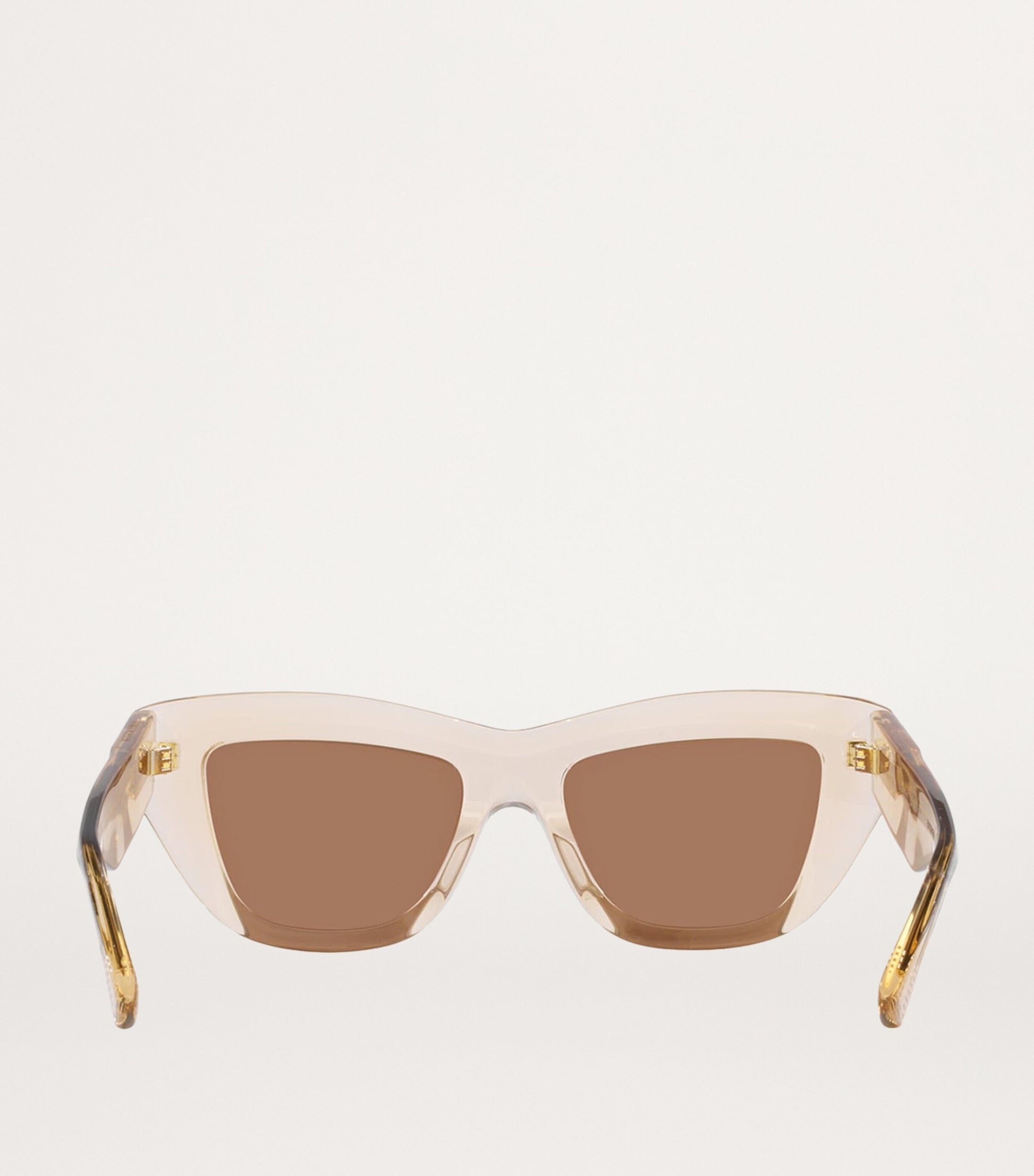 Pink Acetate 06J000398 Sunglasses