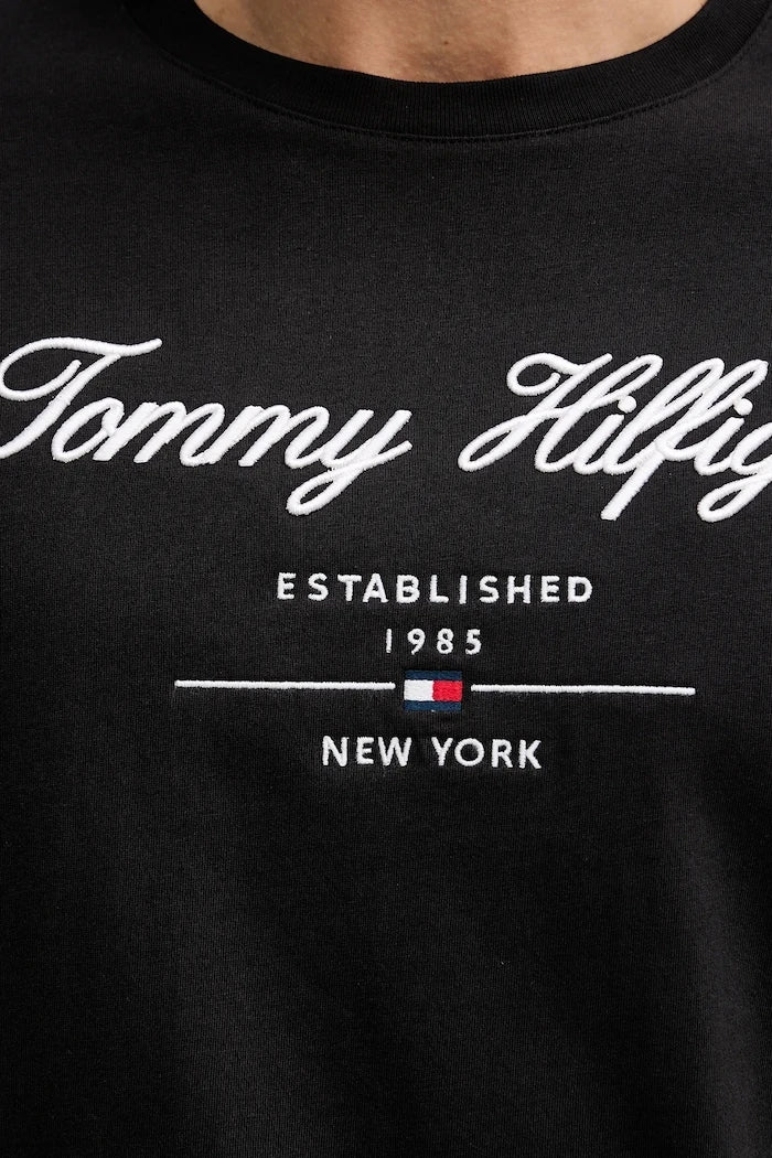 Tommy Hilfiger erkek pamuklu tişört