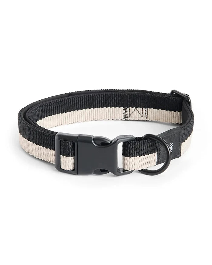 HAY Köpek Tasması M/L 2,5 x 40-65 cm