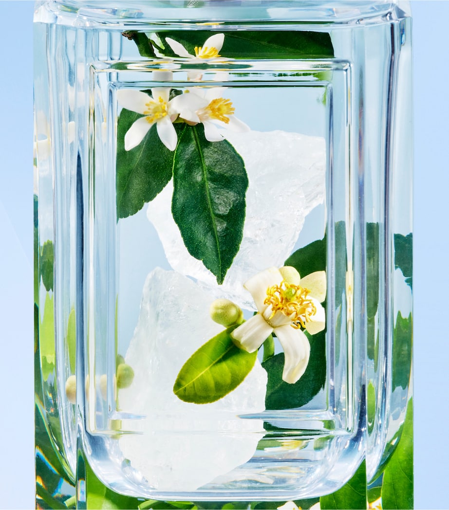 Prada Beauty Olfactory Un Chant d'Amou (100ml)