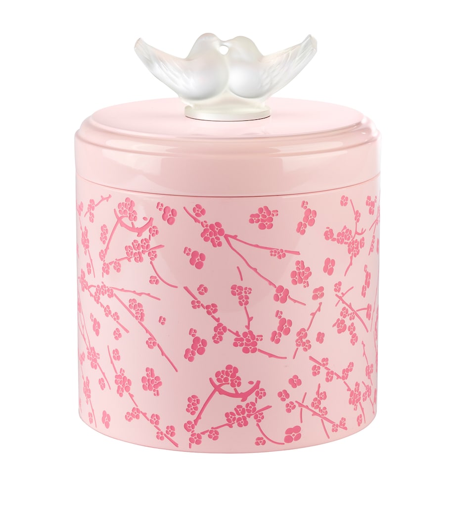 Large Rose Nebula Fleurs de Cerisier Box