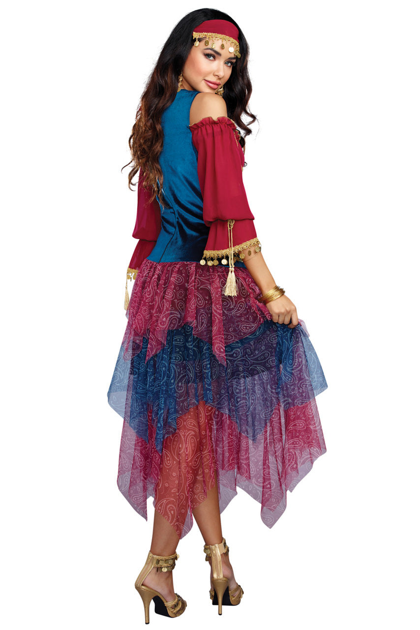 Fortune Teller Costume