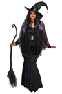 Plus Size Bewitching Beauty Costume