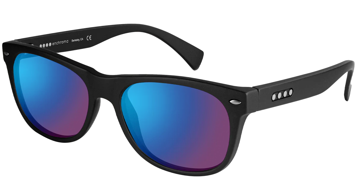 Enchroma - Ellis Outdoor Protan Colour Blind Glasses