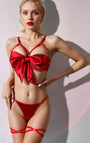 Satin Bow Bust Bra and Panty