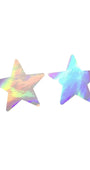 iridescent Star Pasties