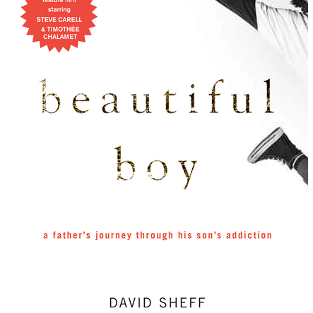 Beautiful Boy: A Father's Journey Through His Son's Addiction
