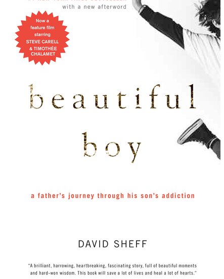 Beautiful Boy: A Father's Journey Through His Son's Addiction