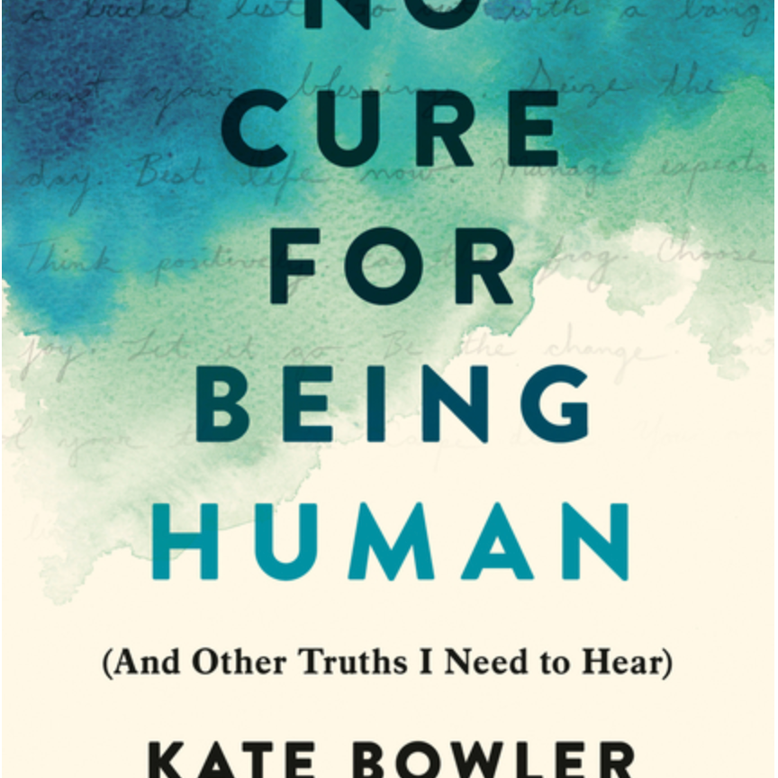 No Cure for Being Human: (And Other Truths I Need to Hear)