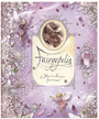 Fairyopolis: A Flower Fairies Journal