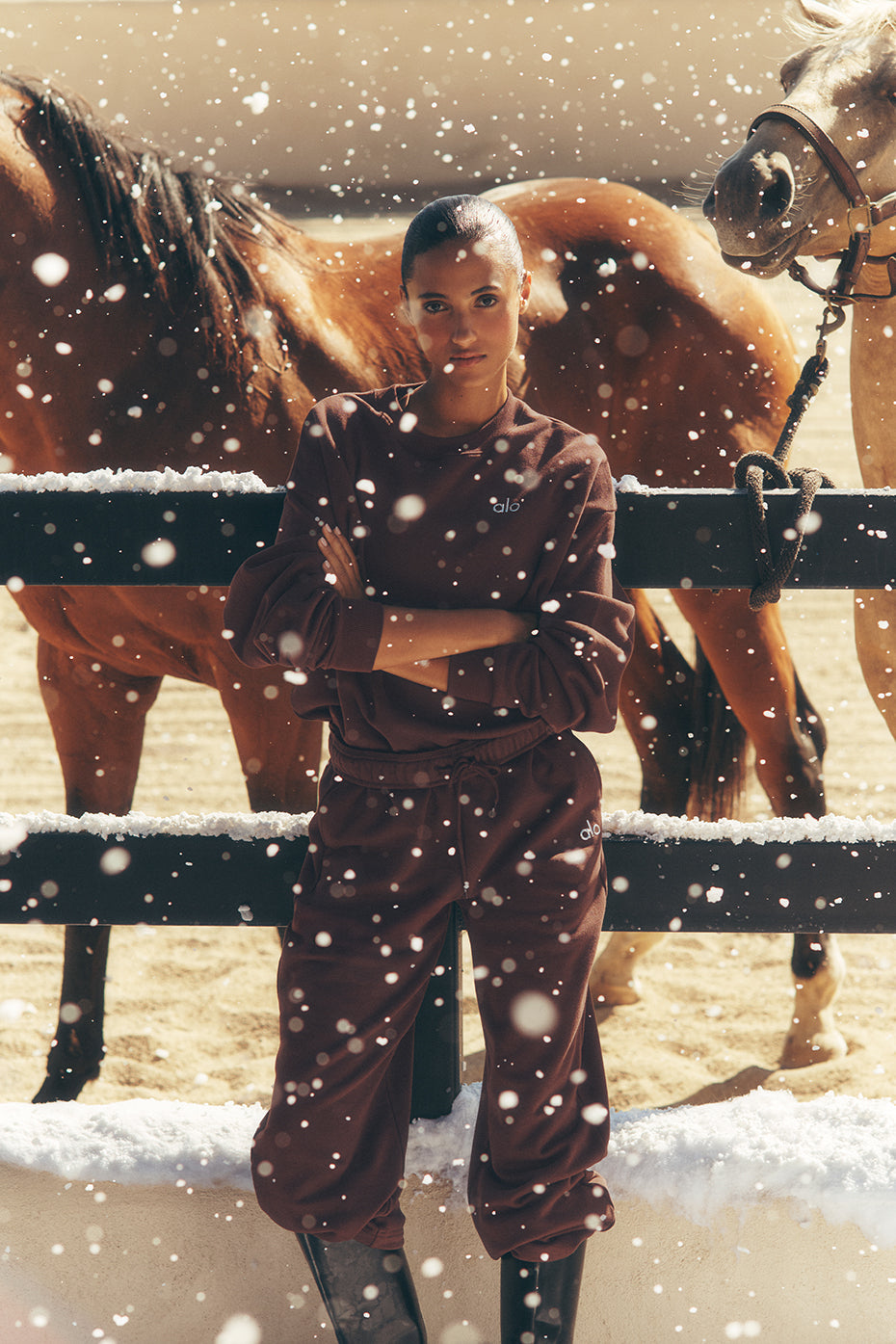 Accolade Straight Leg Sweatpant - Brownstone