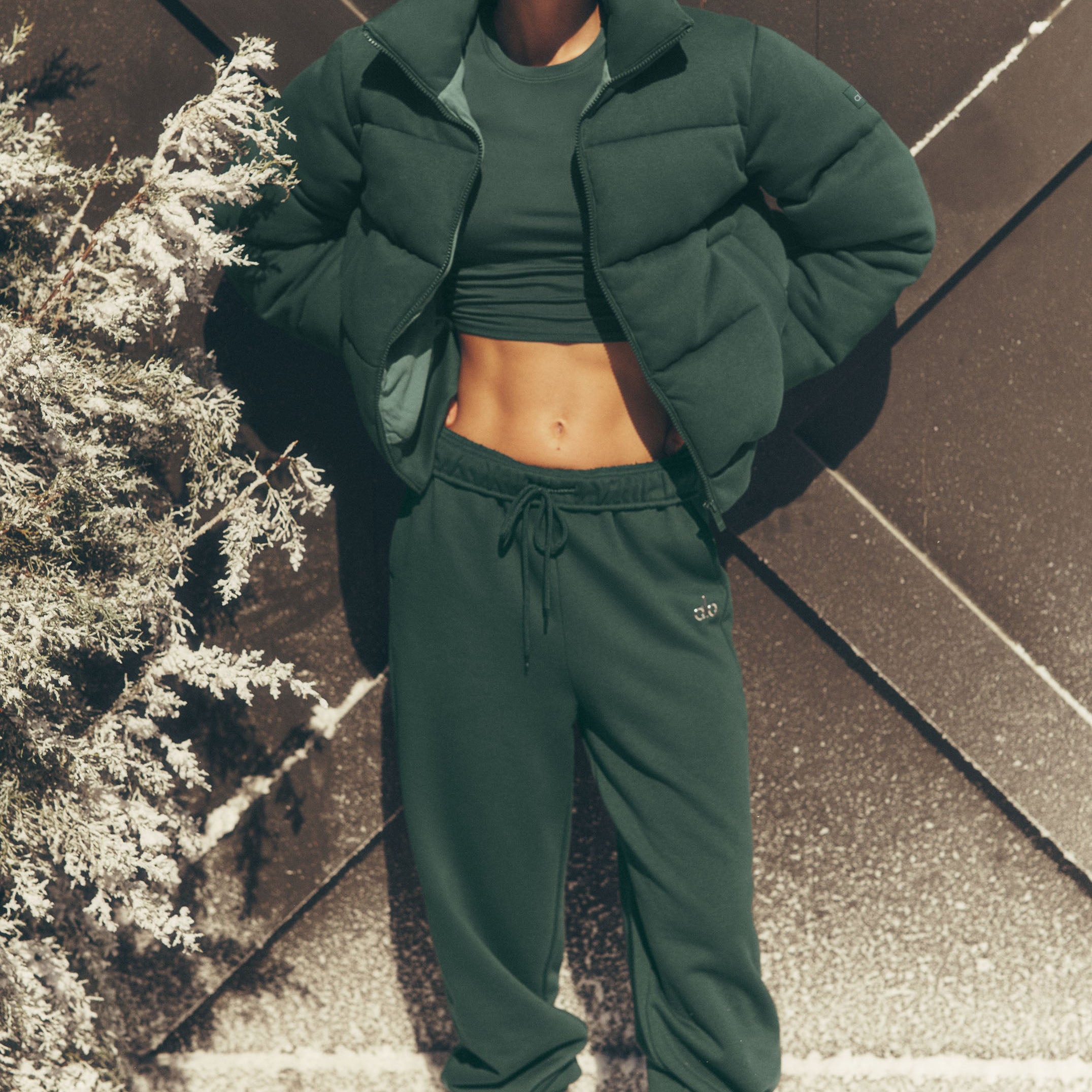 Accolade Sweatpant - Clover Green