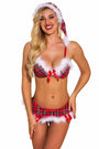 Ho Ho Hottie Bra Set