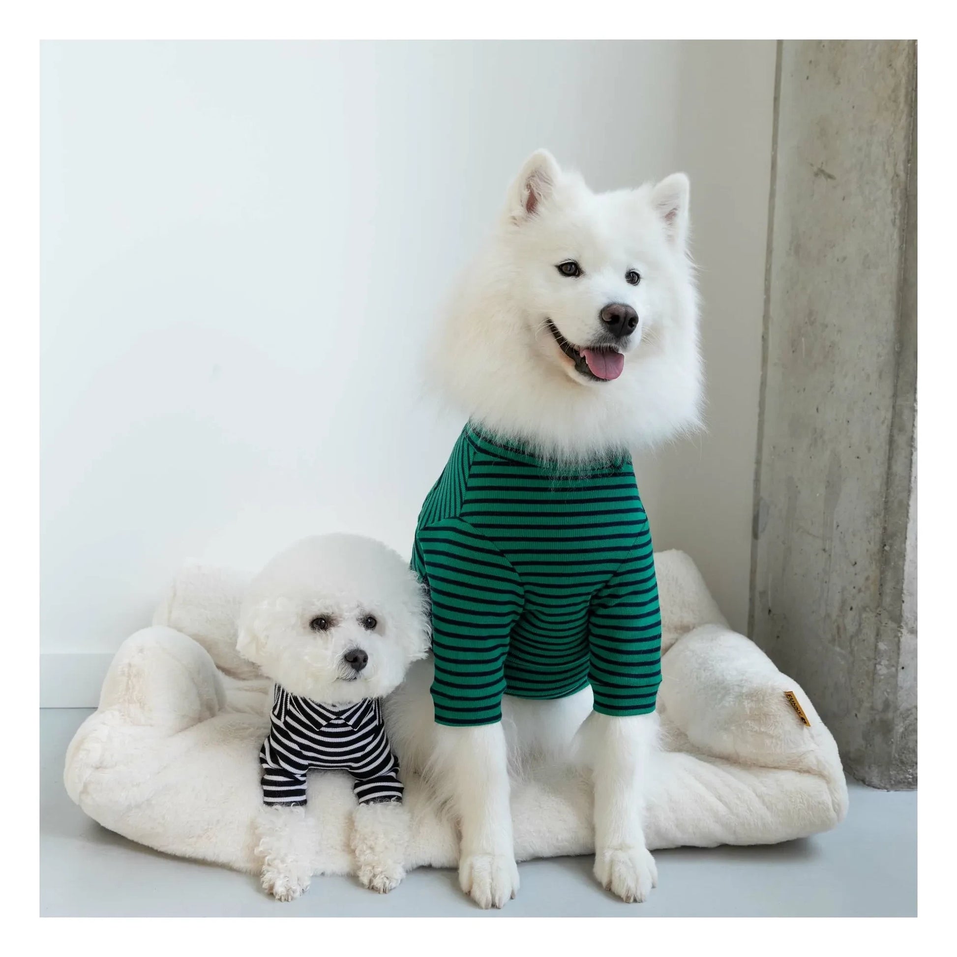 The Furry Folks - Striped sweater | Green