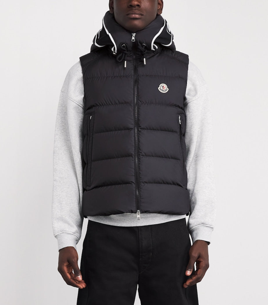 Cardamine Hooded Gilet