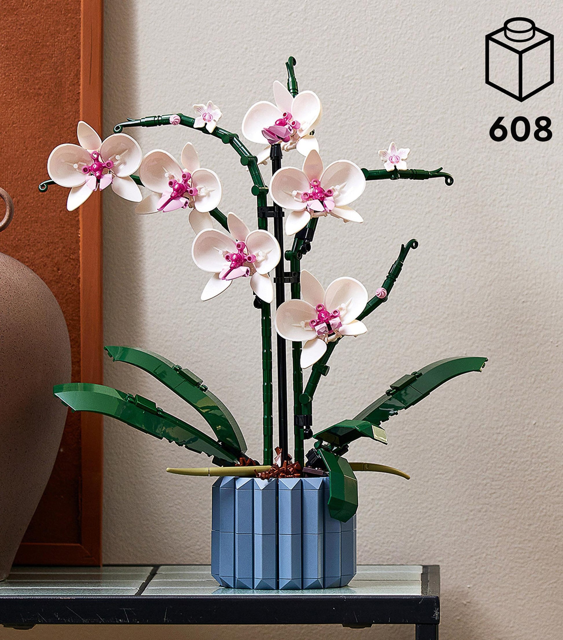 Orchid Display 10311