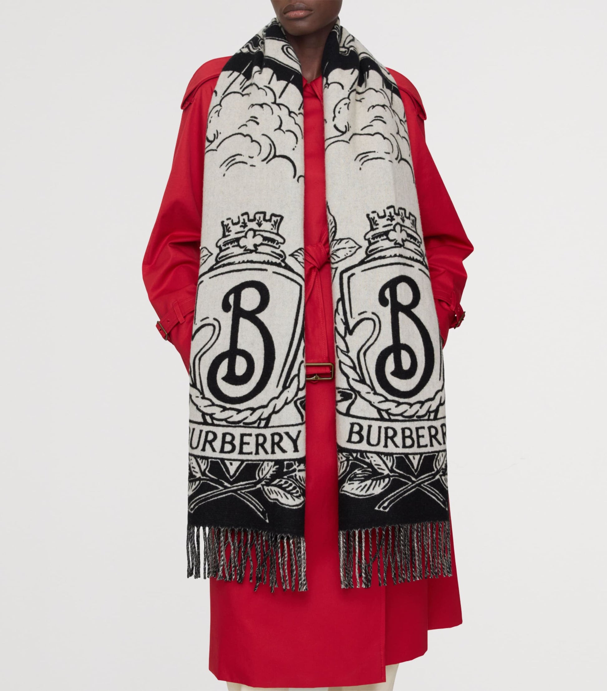 Cashmere Reversible Stormy Knight Scarf